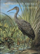 Cover art for Wild Birds of America: The Art of Basil Ede