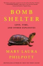 Cover art for Bomb Shelter: Love, Time, and Other Explosives