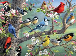 Cover art for Buffalo Games - Hautman Brothers - Birds in an Orchard - 1000 Piece Jigsaw Puzzle