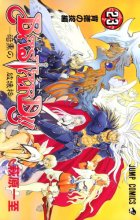 Cover art for Bastard Vol. 23 (Basutaado) (in Japanese)
