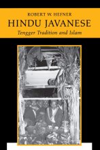 Cover art for Hindu Javanese: Tengger Tradition and Islam