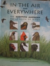 Cover art for In the Air and Everywhere: The Scientific American Pop-Up Book of Birds