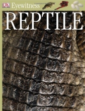 Cover art for Eyewitness: Reptile