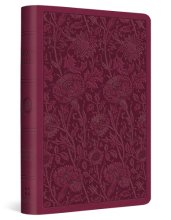 Cover art for ESV Value Compact Bible (TruTone, Raspberry, Floral Design)