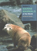 Cover art for Walker's Marine Mammals of the World