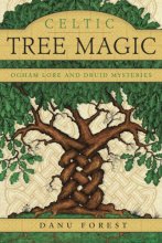 Cover art for Celtic Tree Magic: Ogham Lore and Druid Mysteries
