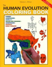 Cover art for The Human Evolution Coloring Book