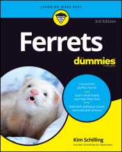 Cover art for Ferrets for Dummies