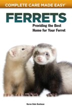 Cover art for Ferrets: Complete Care Guide