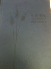 Cover art for Chinese/English Holy Bible