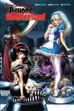 Cover art for Beyond Wonderland