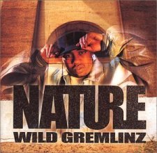 Cover art for Wild Gremlinz
