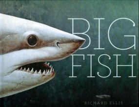 Cover art for Big Fish