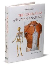 Cover art for The Color Atlas of Human Anatomy