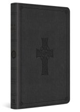 Cover art for ESV Value Thinline Bible (TruTone, Charcoal, Celtic Cross Design)