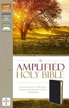 Cover art for Amplified Holy Bible, Bonded Leather, Black: Captures the Full Meaning Behind the Original Greek and Hebrew