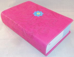 Cover art for NIV, Youth Quest Study Bible, Imitation Leather, Pink: The Question and Answer Bible