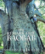 Cover art for Remarkable Baobab