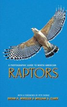 Cover art for A Photographic Guide to North American Raptors