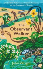 Cover art for The Observant Walker: Wild Food, Nature and Hidden Treasures on the Pathways of Britain
