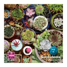 Cover art for Re-marks Succulents 1000-Piece Puzzle, Artistic Jigsaw Puzzle for All Ages