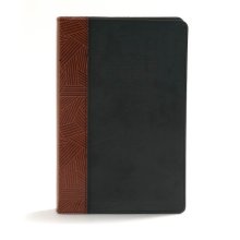 Cover art for CSB Rainbow Study Bible, Black/Tan LeatherTouch