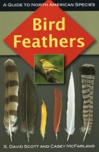 Cover art for Bird Feathers: A Guide to North American Species