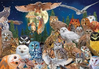 Cover art for Night Owls 1500 Piece Puzzle
