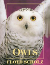 Cover art for Owls: An Artist's Guide to Understanding Owls
