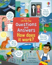 Cover art for Lift-the-Flap Questions and Answers: How Does it Work?