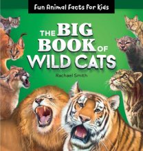 Cover art for The Big Book of Wild Cats: Fun Animal Facts for Kids