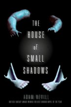 Cover art for The House of Small Shadows