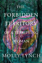 Cover art for The Forbidden Territory of a Terrifying Woman: A Novel