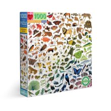 Cover art for eeBoo: Piece and Love A Rainbow World 1000 Piece Square Adult Jigsaw Puzzle, Puzzle for Adults and Families, Glossy, Sturdy Pieces and Minimal Puzzle Dust