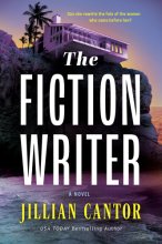 Cover art for The Fiction Writer: A Novel