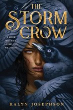 Cover art for The Storm Crow (Storm Crow, 1)