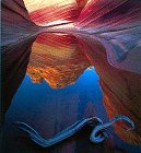 Cover art for Stone Canyons of the Colorado Plateau