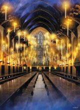 Cover art for Harry Potter Great Hall 1000 Piece Jigsaw Puzzle | Artwork from Harry Potter Films Featuring Hogwarts Great Hall | Official Collectible Harry Potter Merchandise