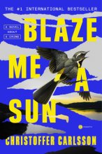 Cover art for Blaze Me a Sun: A Novel About a Crime