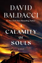 Cover art for A Calamity of Souls