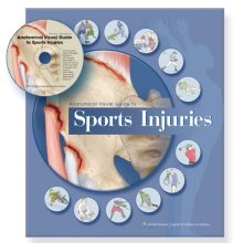 Cover art for Anatomical Visual Guide to Sports Injuries