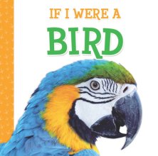 Cover art for If I Were A Bird (Rhyming Children's Book)