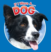 Cover art for If I Were A Dog (Children's Board Book)