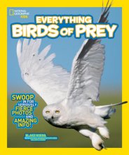 Cover art for National Geographic Kids Everything Birds of Prey: Swoop in for Seriously Fierce Photos and Amazing Info