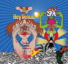 Cover art for Hey Venus 