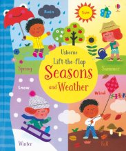 Cover art for Lift-the-Flap Seasons and Weather (IR)