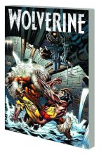 Cover art for Wolverine 2