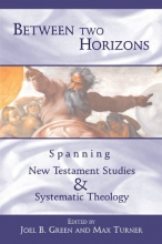 Cover art for Between Two Horizons: Spanning New Testament Studies and Systematic Theology