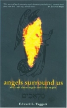 Cover art for Angels Surround Us: The Truth About Angels and Fallen Angels
