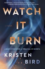 Cover art for Watch It Burn: A Novel
